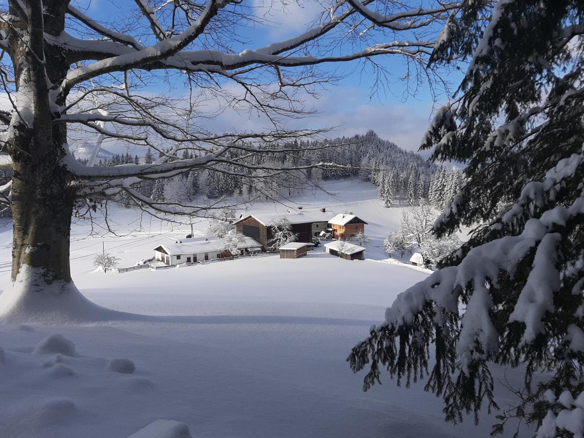 Bauernhof Ablass Гестлинг-на-Ибсе Экстерьер фото